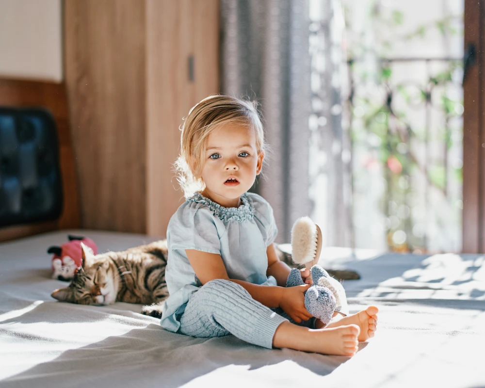 cradle and swing
