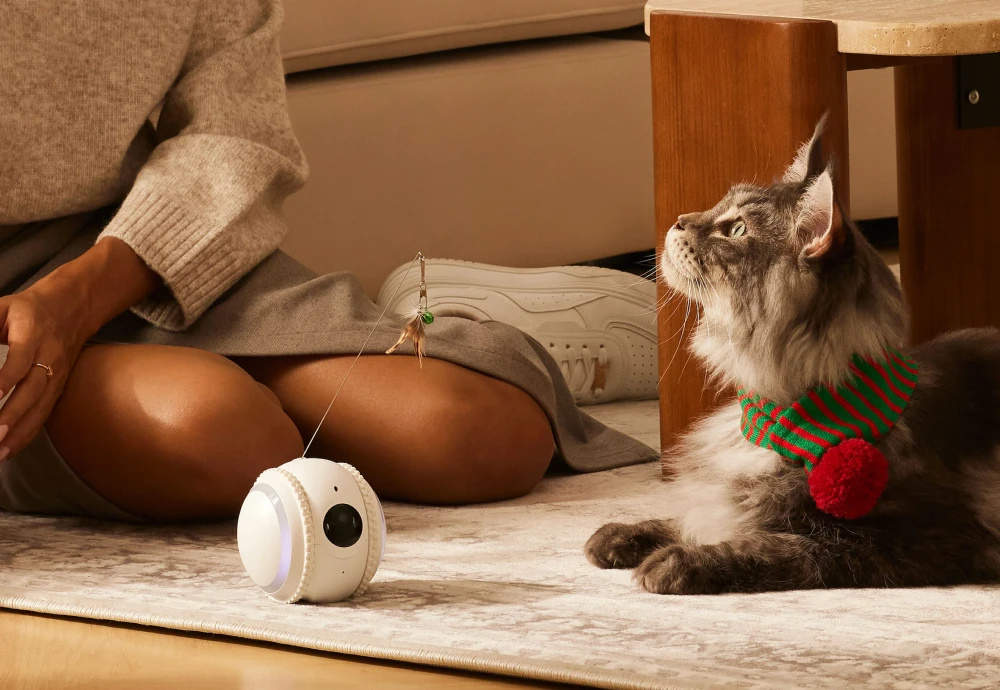 cameras to watch your pets