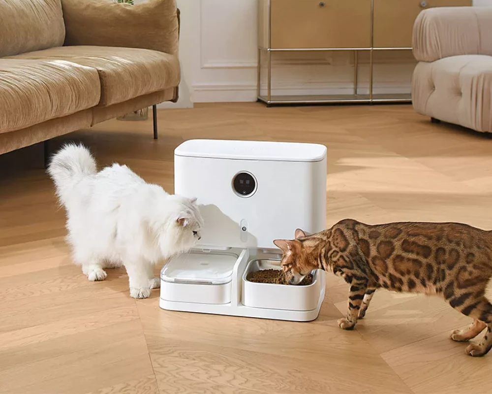 cat automatic pet feeder